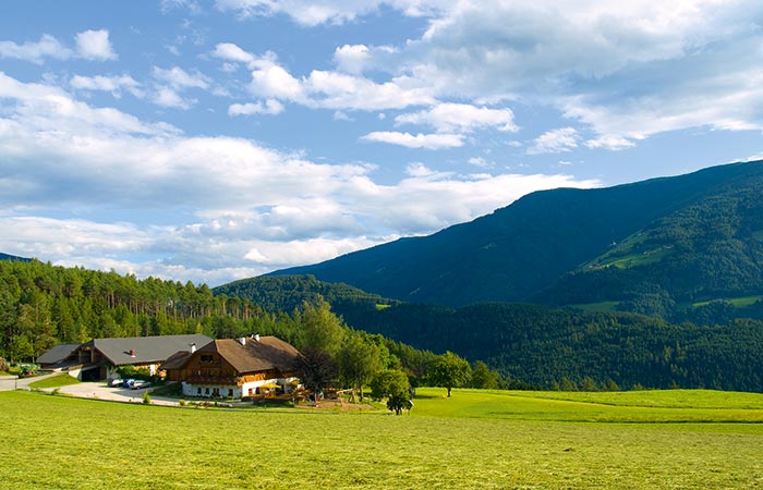 Berggasthaus - Restaurant Irenberg Pfalzen